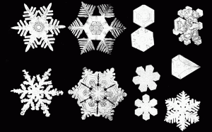 PSM_V53_D092_Various_snow_crystal_forms